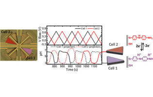 Miniaturized Control of Acidity in Multiplexed Microreactors