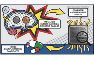 Role of Metal Cations of Copper, Iron, and Aluminum and Multifunctional Ligands in Alzheimer’s Disease: Experimental and Computational Insights