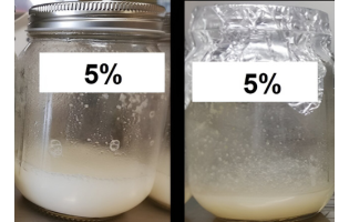 How pasteurization, sterilization affects a milk alternative