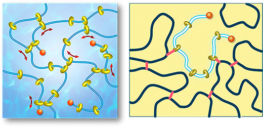 Recent Progress and Future Perspective in Slide-Ring Based Polymeric Materials