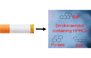 Should IQOS Emissions Be Considered as Smoke and Harmful to Health? A Review of the Chemical Evidence