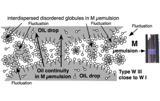 Review on Some Confusion Produced by the Bicontinuous Microemulsion Terminology and Its Domains Microcurvature: A Simple Spatiotemporal Model at Optimum Formulation of Surfactant-Oil-Water Systems