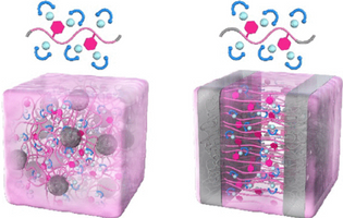 Effects of a Nanophase-Separated Structure on Mechanical Properties and Proton Conductivity of Acid-Infiltrated Block Polymer Electrolyte Membranes under Non-Humidification
