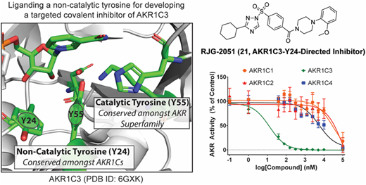 Discovery and Optimization of a Covalent AKR1C3 Inhibitor