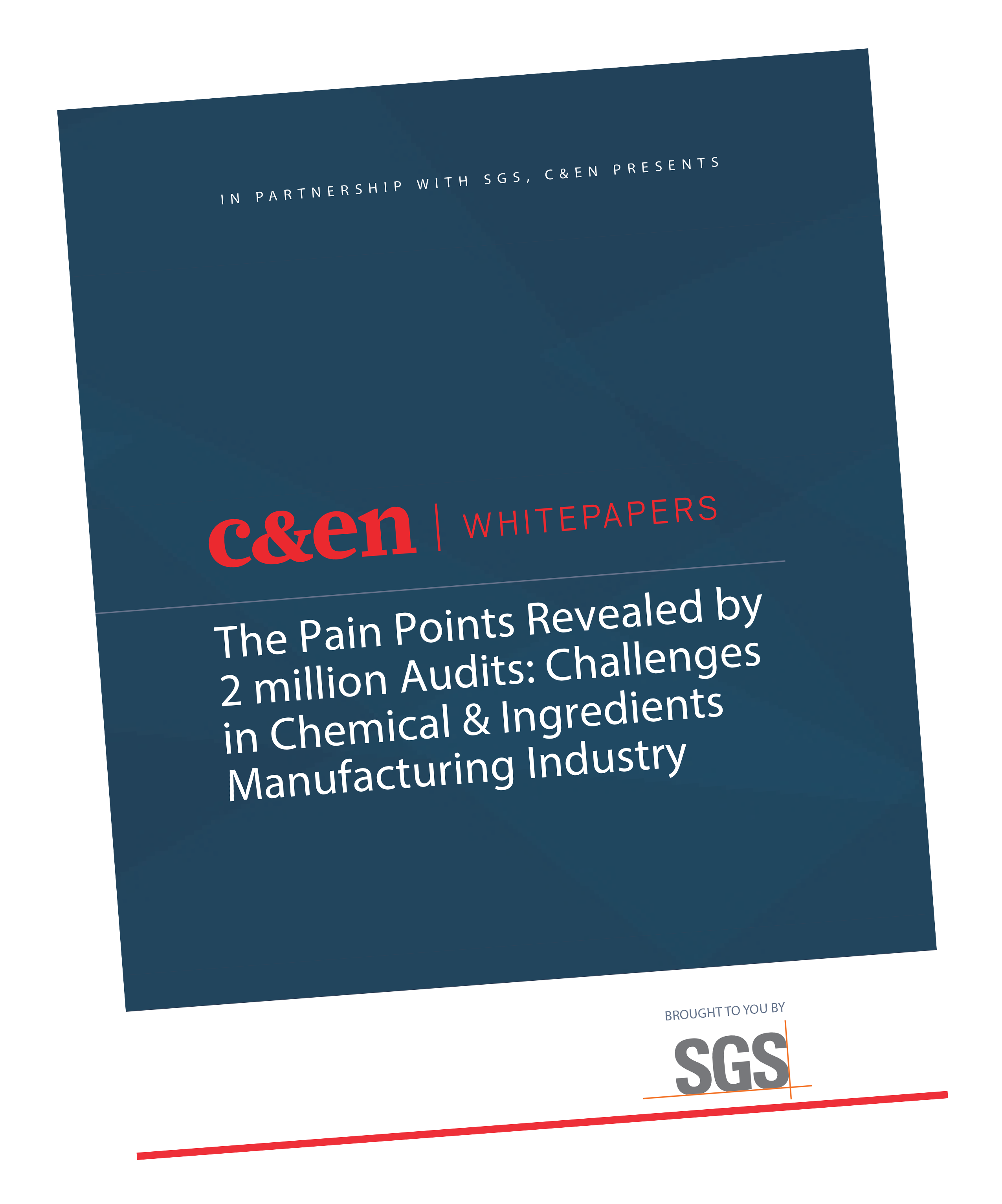 Pain points in Chemical & Ingredients Manufacturing Industry