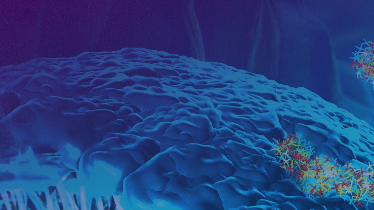 3D Structures in Medicinal Chemistry and Chemical Biology