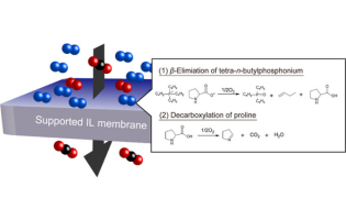 Accelerated Oxidative Degradation of Phosphonium-Type Ionic Liquid with L-Prolinate Anion: Degradation Mechanism and CO2 Separation Performance