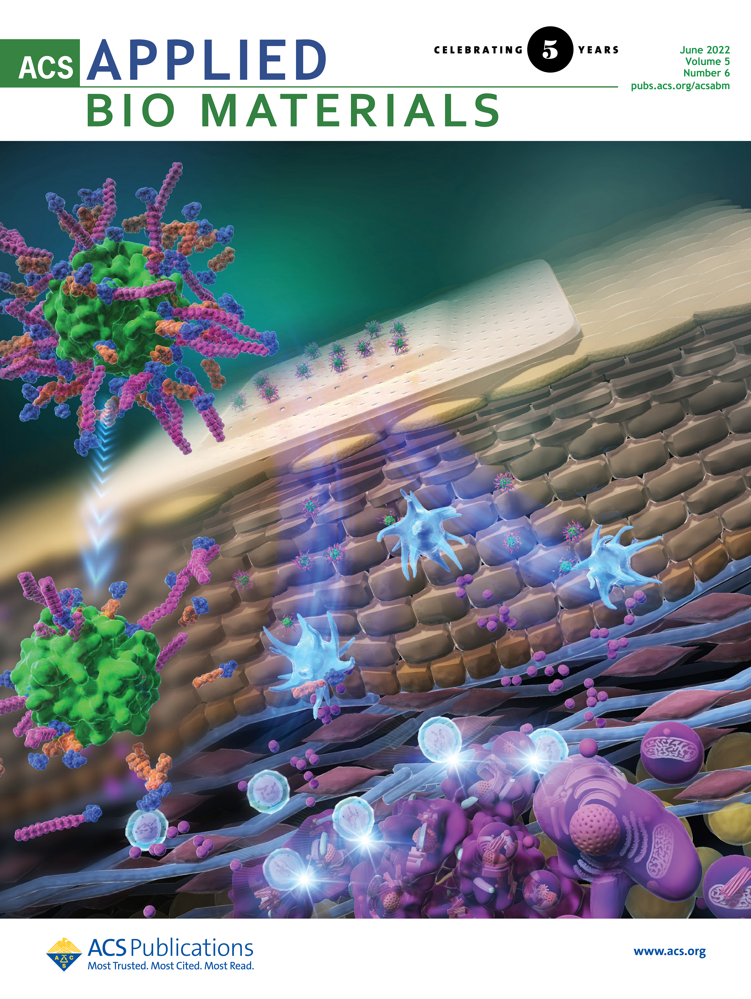 ACS Applied Bio Materials