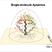 Three-Dimensional Tracking of Tethered Particles for Probing Nanometer-Scale Single-Molecule Dynamics Using a Plasmonic Microscope