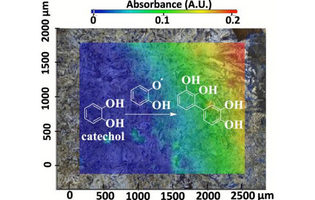 Interfacial Oxidative Oligomerization of Catechol