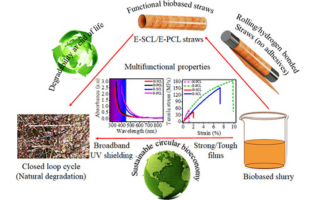 Ultrastrong, Hydrostable, and Degradable Straws Derived from Microplastic-Free Thermoset Films for Sustainable Development