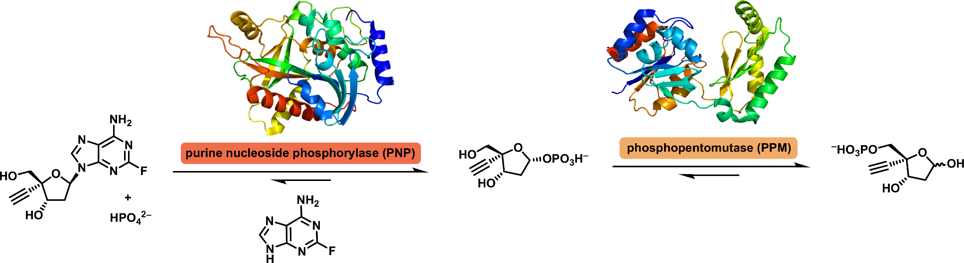 From Cortisone to Enlicitide: A Journey of Synthetic Chemistry Innovations at Merck