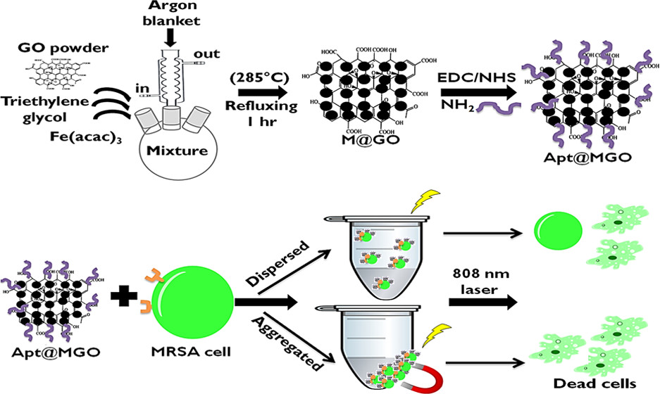 DNA Aptamer-Conjugated Magnetic Graphene Oxide for Pathogenic Bacteria Aggregation: Selective and Enhanced Photothermal Therapy for Effective and Rapid Killing