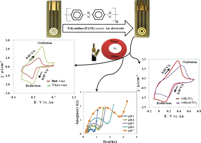 A Naturally Derived Nanocomposite Film with Photodynamic Antibacterial Activity: New Prospect for Sustainable Food Packaging