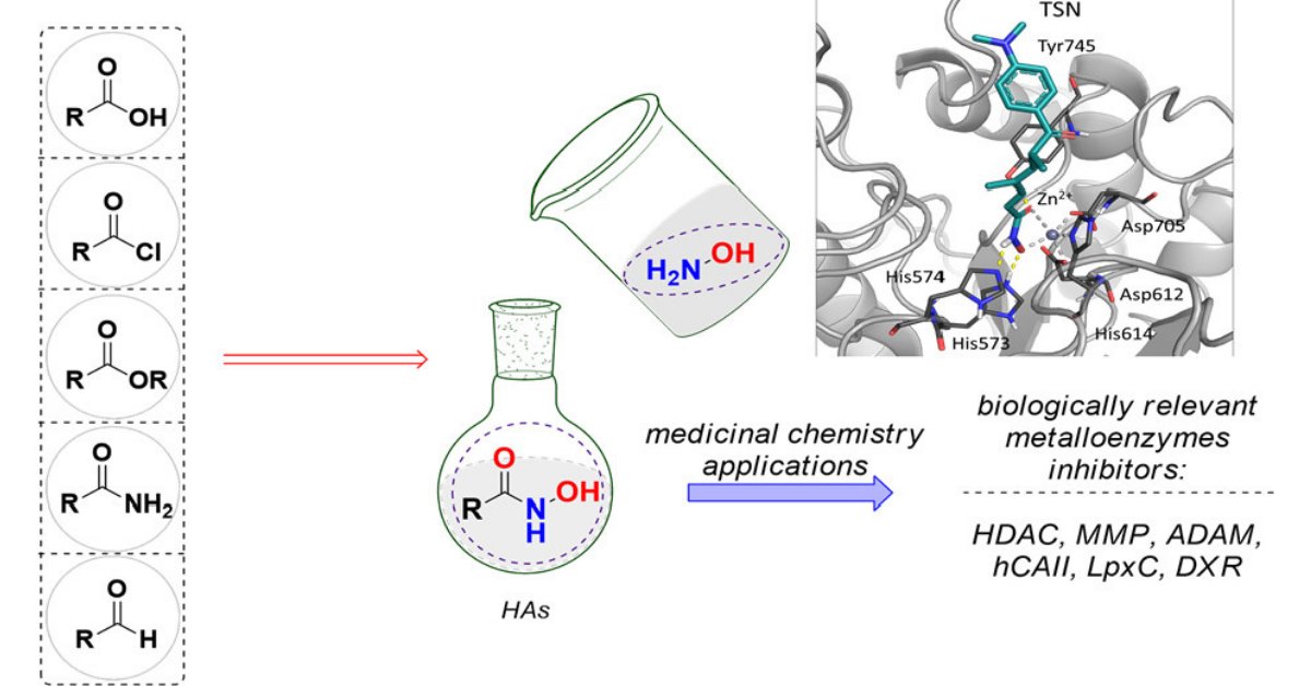 Hydroxamic Acid Derivatives: From Synthetic Strategies to Medicinal Chemistry Applications