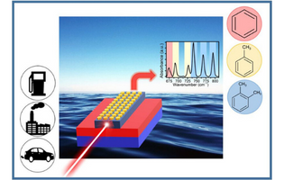 Surface Functionalization with Polymer Membrane or SEIRA Interface to Improve the Sensitivity of Chalcogenide-Based Infrared Sensors Dedicated to the Detection of Organic Molecules