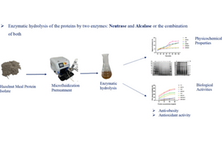 Combined Neutrase–Alcalase Protein Hydrolysates from Hazelnut Meal, a Potential Functional Food Ingredient