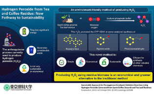 Sustainable Approach for Peroxygenase-Catalyzed Oxidation Reactions Using Hydrogen Peroxide Generated from Spent Coffee Grounds and Tea Leaf Residues