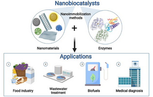 Expanding the Scope of Nanobiocatalysis and Nanosensing: Applications of Nanomaterial Constructs