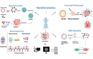 Combined Cancer Immunotheranostic Nanomedicines: Delivery Technologies and Therapeutic Outcomes