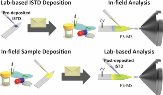 Internal Standard Utilization Strategies for Quantitative Paper Spray Mass Spectrometry