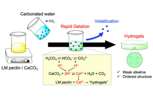 A new study shows how carbonated water can be used to tune the properties of hydrogels for various uses