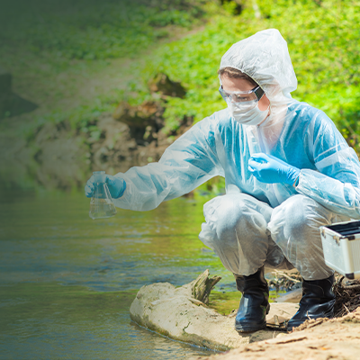 Magnetic Nanohybrids for Environmental Applications