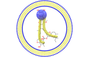 Transformation of Amphiphilic Antiviral Drugs into New Dimensional Nanovesicles Structures