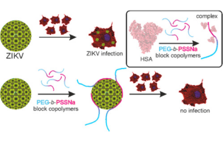 Poly(ethylene glycol)-block-poly(sodium 4-styrenesulfonate) Copolymers as Efficient Zika Virus Inhibitors: In Vitro Studies