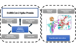 Biophysical Insight into the SARS-CoV2 Spike–ACE2 Interaction and Its Modulation by Hepcidin through a Multifaceted Computational Approach