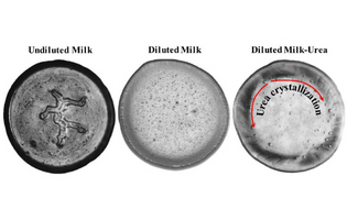 A novel strategy to track adulterants in milk