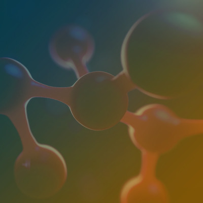 Polymer Impact 2025