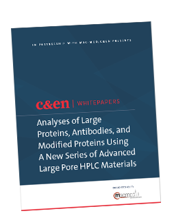 Analyses of Large Proteins, Antibodies, and Modified Proteins Using A New Series of Advanced Large Pore HPLC Materials
