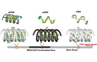 Graphene Oxide-Functionalized Thread-Based Electrofluidic Approach for DNA Hybridization