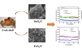 Crab shells could help power the next generation of rechargeable batteries