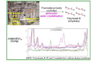 Usona Identifies Controlled Crystal Engineering Process for Large-Scale Synthesis of Psilocybin Polymorphs