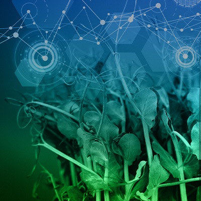 Emerging Nano-Enabled Technologies for Sustainable Food and Agriculture