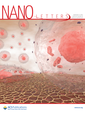 Nano Letters