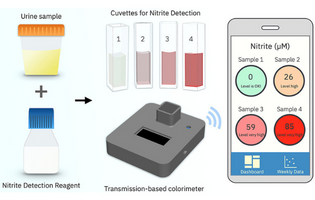 Toward a Quantitative Colorimeter for Point-of-Care Nitrite Detection