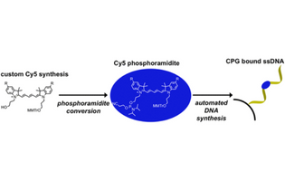 Synthesis of Substituted Cy5 Phosphoramidite Derivatives and Their Incorporation into Oligonucleotides Using Automated DNA Synthesis