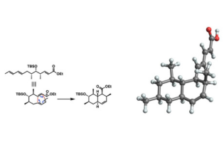 Towards new Antibiotics with the First Total Synthesis of Tanzawaic Acid B