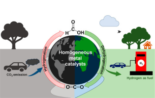 Recent Developments in Reversible CO2 Hydrogenation and Formic Acid Dehydrogenation over Molecular Catalysts