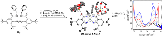Synthesis and Characterization of Co Complexes Coordinated by a Tetraanionic Bis(amidateanilido) Ligand