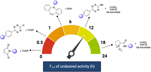 Comparative Study of Click Handle Stability in Common Ligation Conditions