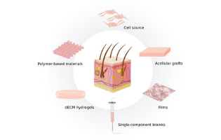 Trends in Tissue Bioprinting, Cell-Laden Bioink Formulation, and Cell Tracking