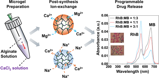Programmable Cargo Release from Jet-Printed Microgel Particles via an In Situ Ionic Exchange Method