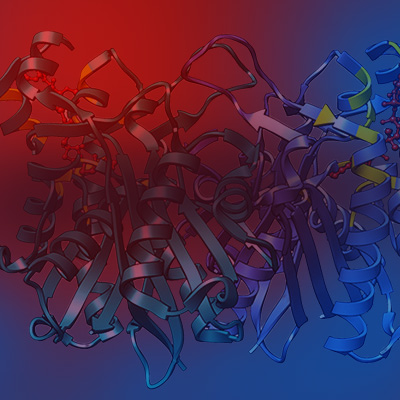 Exploring Covalent Modulators in Drug Discovery and Chemical Biology