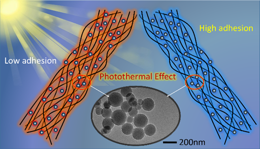 Light-Controlled Adhesive Hydrogels for On-Demand Adhesion