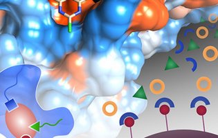 Inspirations of Biomimetic Affinity Ligands: A Review