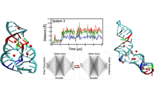 Influence of Mg2+ Distribution on the Stability of Folded States of the Twister Ribozyme Revealed Using Grand Canonical Monte Carlo and Generative Deep Learning Enhanced Sampling